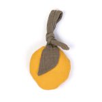 Activity_toy_Lemon_1_1000x1000.jpg