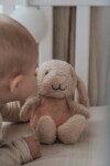 Nachtlampje-kind-knuffel-konijn