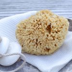 HCS-101103-Cocoon-Honeycomb-natursvamp-fra-Middelhavet-WEB-1.jpg