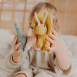 Holdie_Set_Dinosaurs_800x
