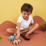 Holdie_Set_Dinosaurs_800x