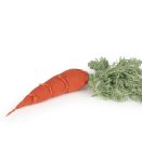diy-cathy-the-carrot.jpg