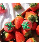 sweetie-the-strawberry.jpg