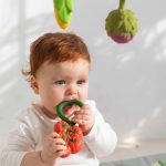 L-RATTLE-TOMATO-1
